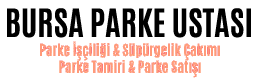 BURSA PARKE USTASI 0 506 244 18 08